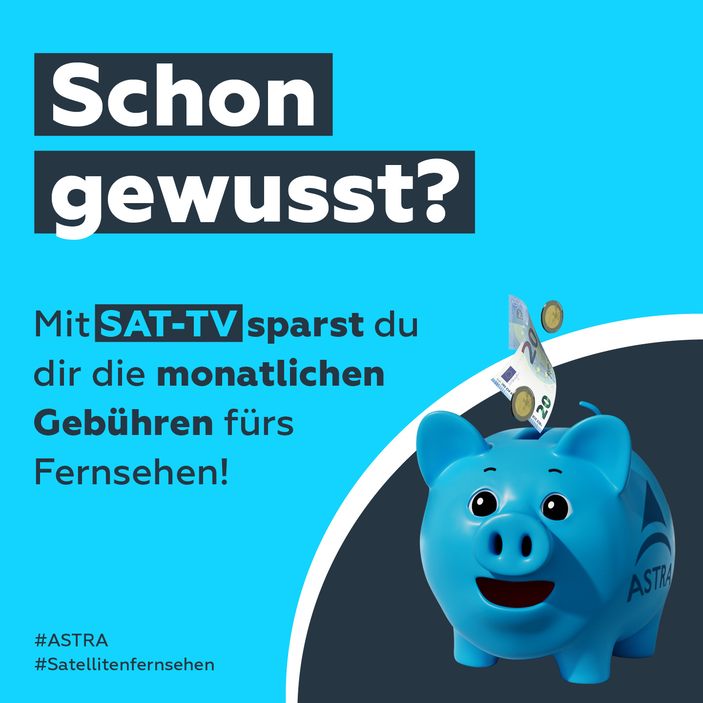 Sparschwein
